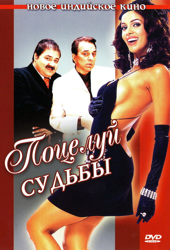 Поцелуй судьбы (2004) постер