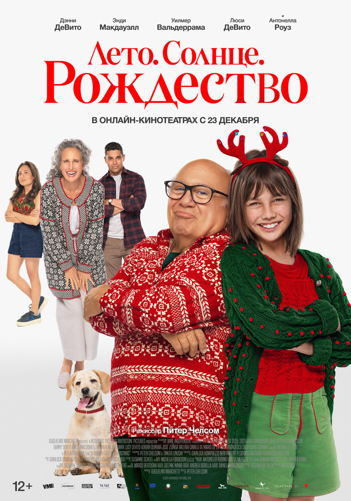 A Sudden Case of Christmas (2024) постер