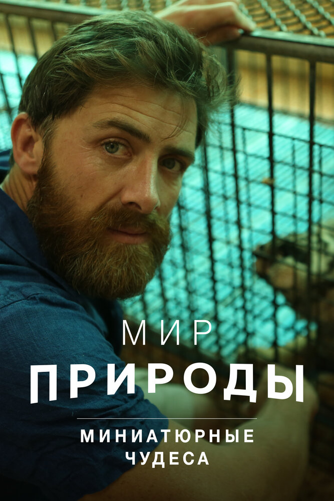 Мир природы. Миниатюрные чудеса (2017) постер