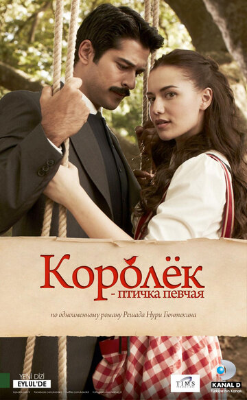 Королёк – птичка певчая (2013)