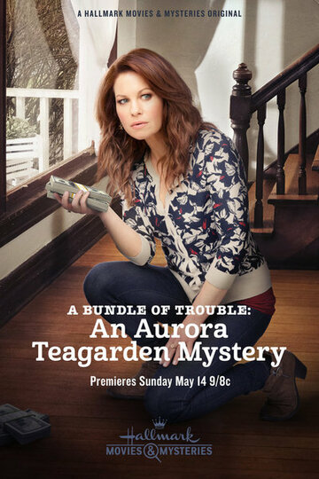 A Bundle of Trouble: An Aurora Teagarden Mystery (2017)